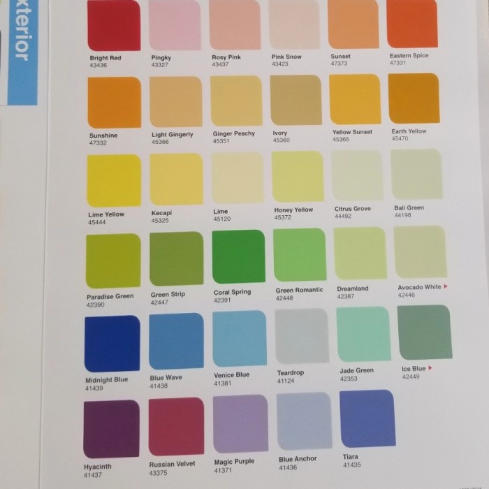 Dulux Catylac Exterior 25 Kg Putih 888 / Warna / Cat Khusus Exterior