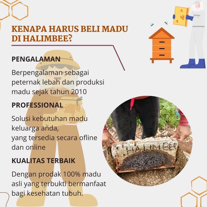

madu Murni Kaliandra asli 500 gram -Halimbee