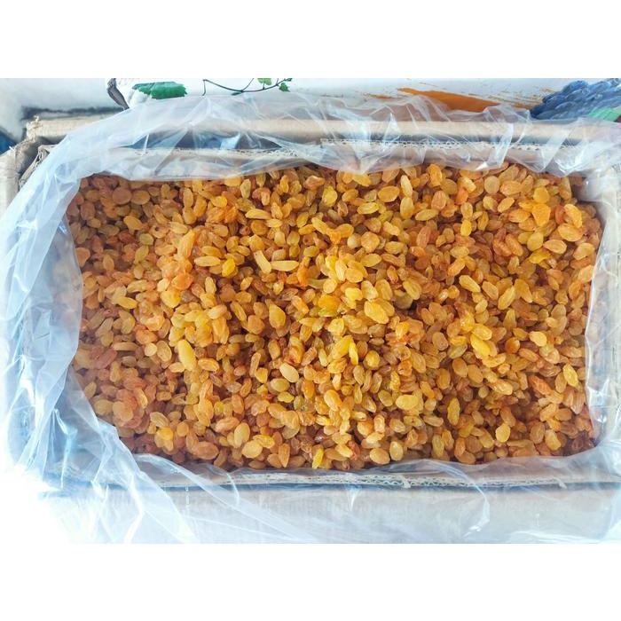 

Kismis Mutiara Manis 500 gram Oleh-Oleh Haji Umroh - Food, Snack Cemilan Jajanan kis mi