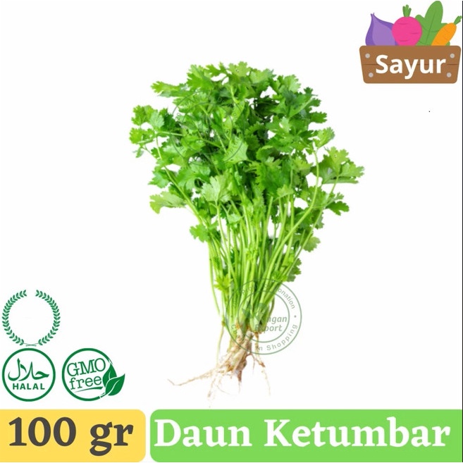 

Sale! Daun Ketumbar , Coriander , Cilantro