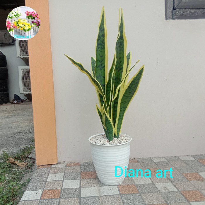 TOP TANAMAN LIDAH MERTUA PALSU#LIDAH MERTUA LATEX#LIDAH MERTUA ARTIFICIAL# -