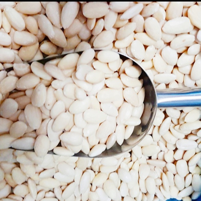 

Kacang Almond Mentah Kupas 1 kg