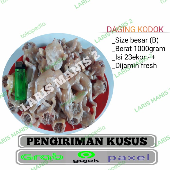 kodok sawah/katak sawah/daging swike besar