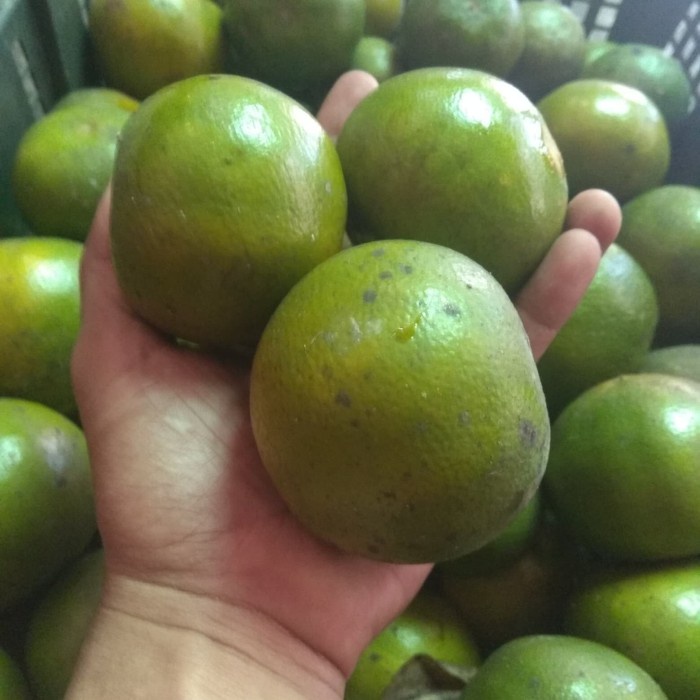 BUAH JERUK PONTIANAK AB 1 KERANJANG