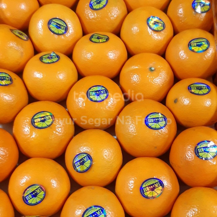 

Buah Jeruk Mandarin Wokan Manis 1 Keranjang Harga Lebih Hemat dr Ecer