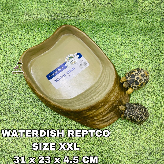 Produk Viral Waterdish Reptco Size Xxl Jumbo Tempat Minum Kura Darat Sulcata Aldabra Istar Salva
