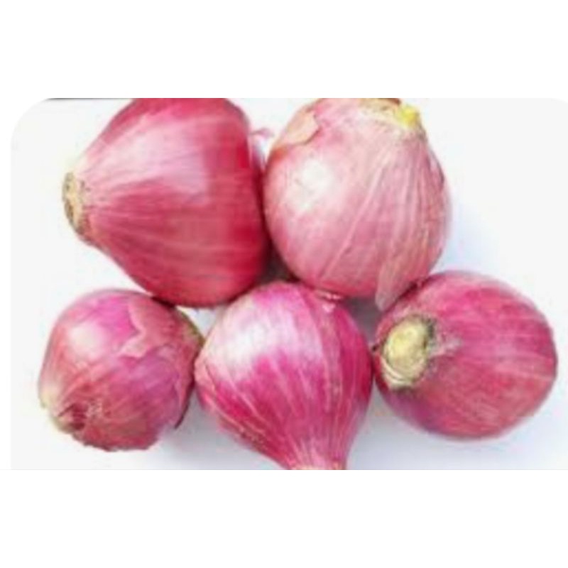 

BAWANG MERAH BESAR SUPER RP 22.000 / 500 GRAM