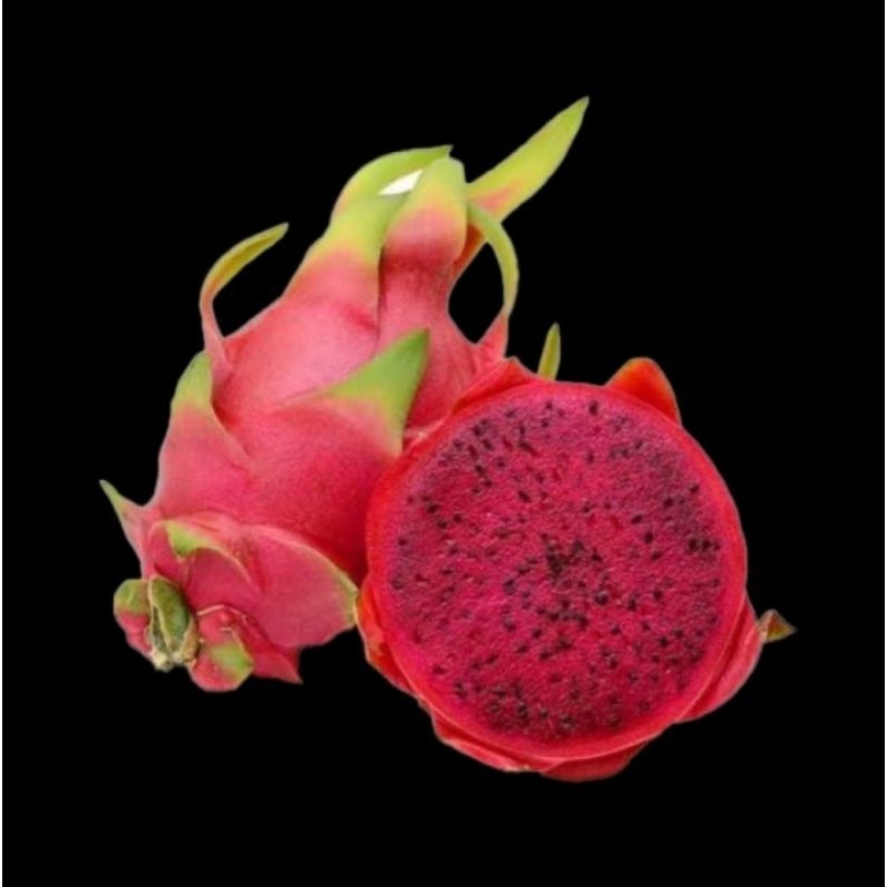 

buah naga