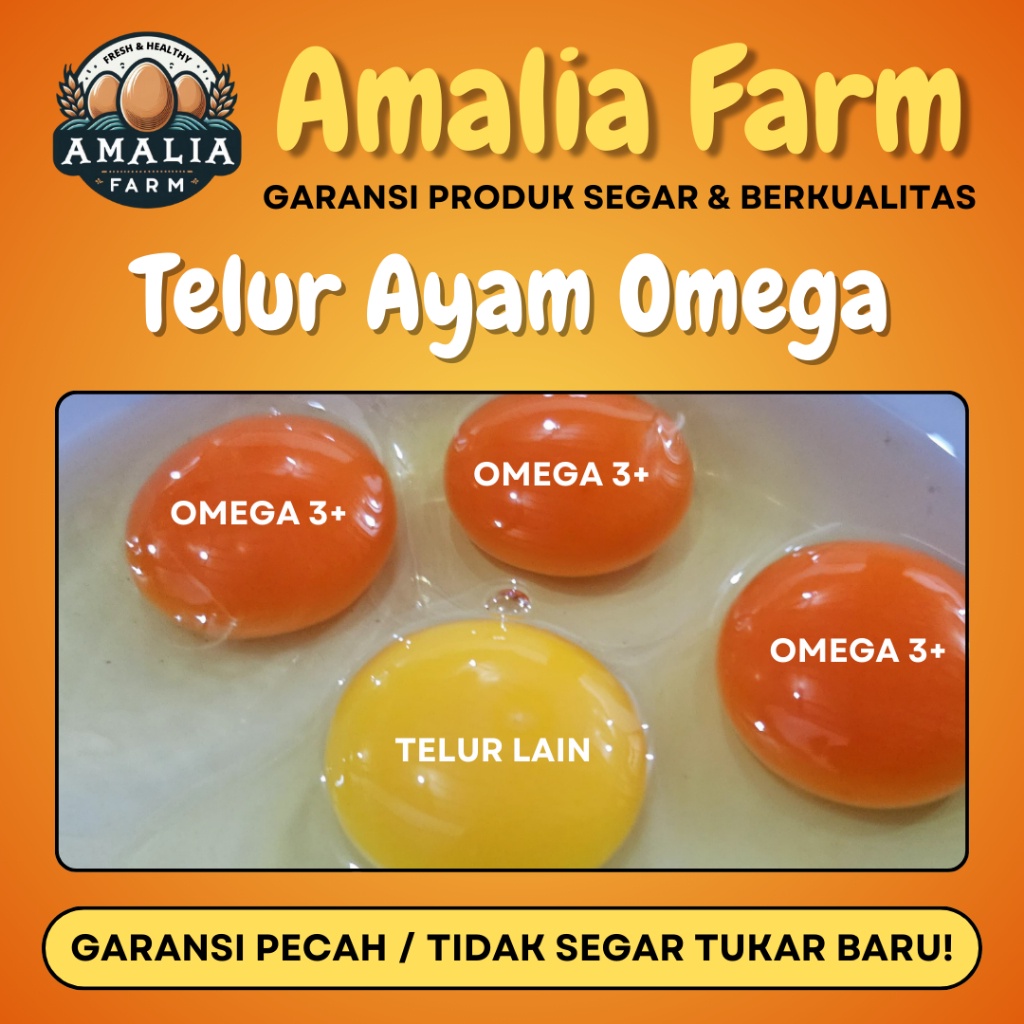 

Amalia Farm - 1 Tray Telur Ayam Negeri Omega isi 30 Butir PREMIUM