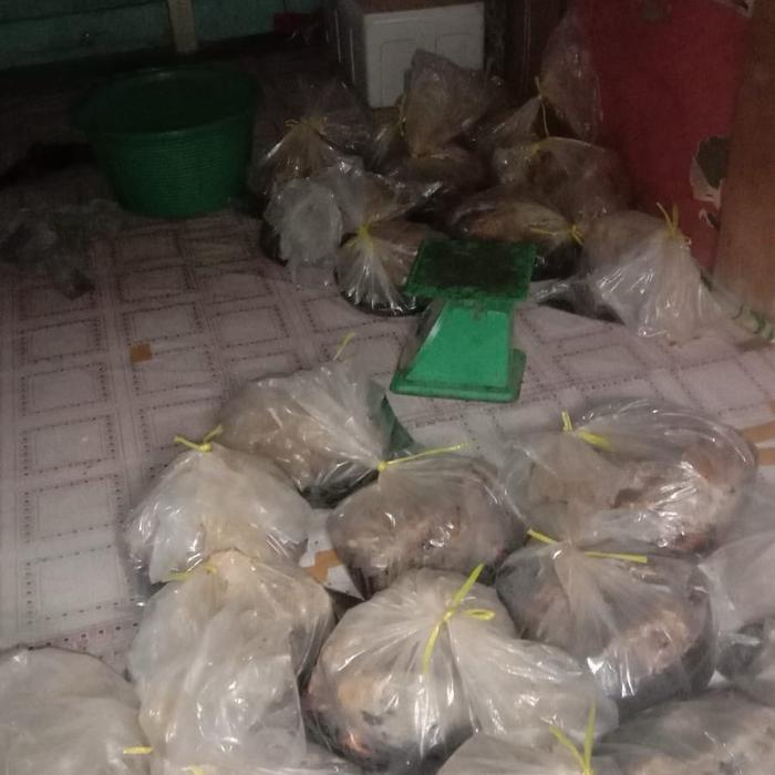 

Madu Sarang Hutan Liar 1Kg Alami Honey Terlaris