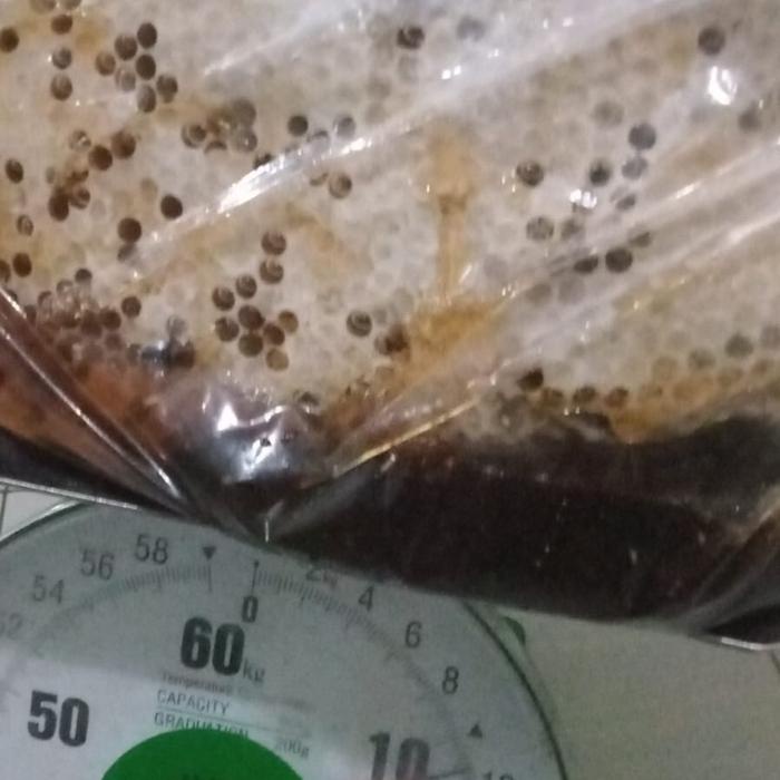 

BARANG TERLARIS Madu liar hutan sialang 1kg Honey Manis Honey Manis