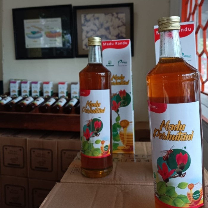 

BARANG TERLARIS madu asli perhutani, Randu 650ml
