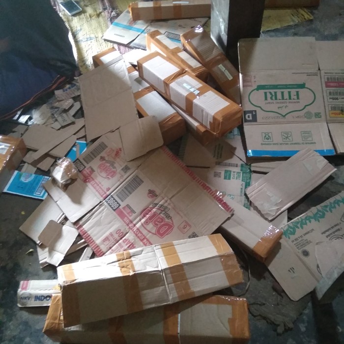 PROMO SPECIAL bibit bunga porana volubis tanaman bunga wangi semerbak