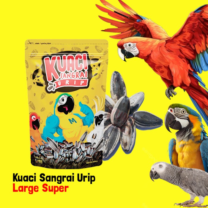 Kuaci Sangrai Super Jumbo Untuk Burung Kakatua Macaw Afgrey Amazon