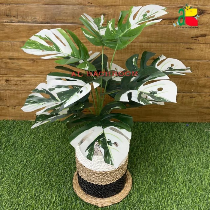 JAYAmart- BUNGA PLASTIK HIAS MONSTERA VARIEGATA DAUN 18 DAN 12 BUNGA ARTIFICIAL