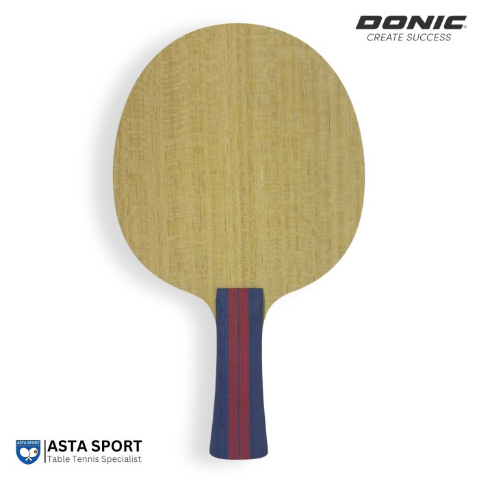 DONIC Esprit Carbon / Bet Tenis Meja Pingpong
