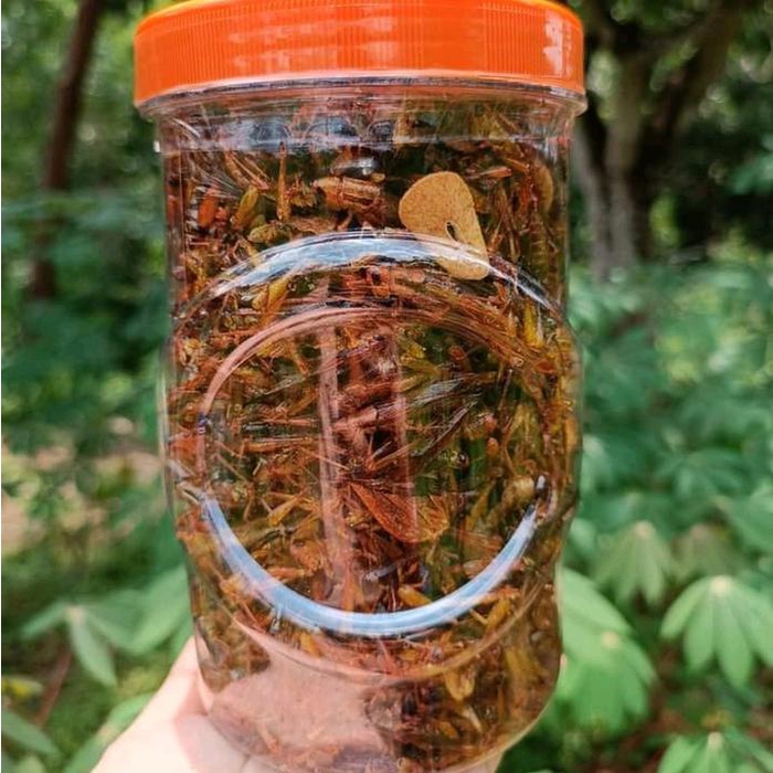 

Belalang goreng utis kecil toples sosis jumbo kriuk pedes manis Pedas