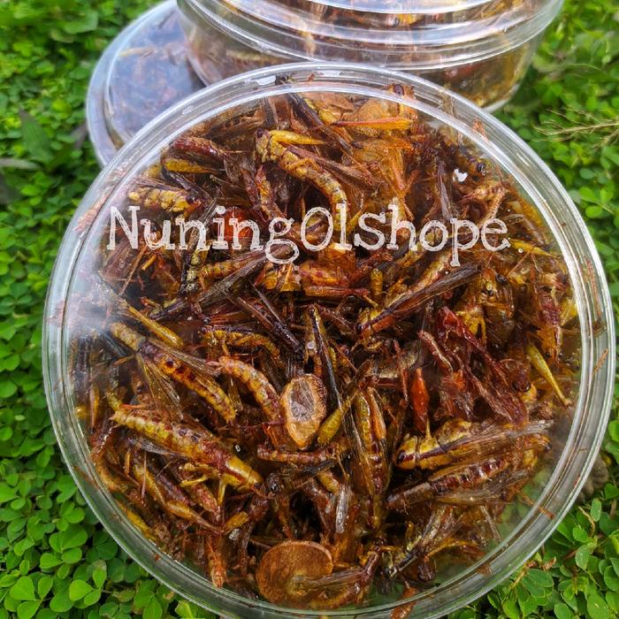 

BELALANG GORENG, WALANG GORENG UTIS (PADI) KEMASAN TOPLES NASTAR BERAT 85 gram 4 varian rasa cemilan