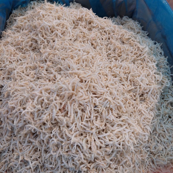 

SALE !!! IKAN ASIN TERI NASI MEDAN 500 GRAM/TERI NASI MEDAN SIZE SEDANG 1KG READYY