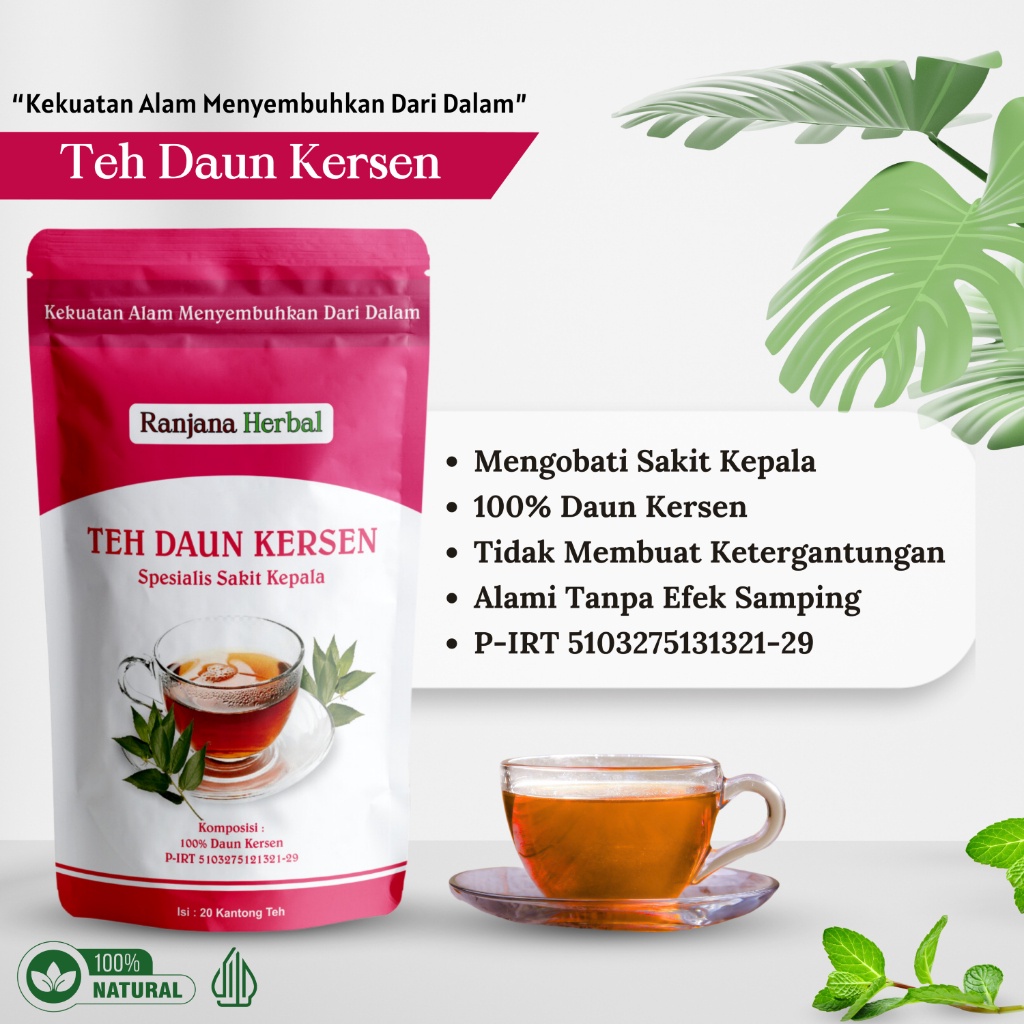 

( PROMO ) Teh Celup Daun Kersen Obat Sakit Kepala Belakang Verto Mrain Syaraf Pusing, Aman Ampuh