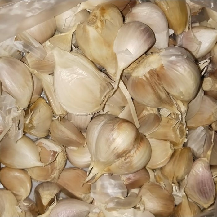 

HJK bawang putih kating bersih 1 kg