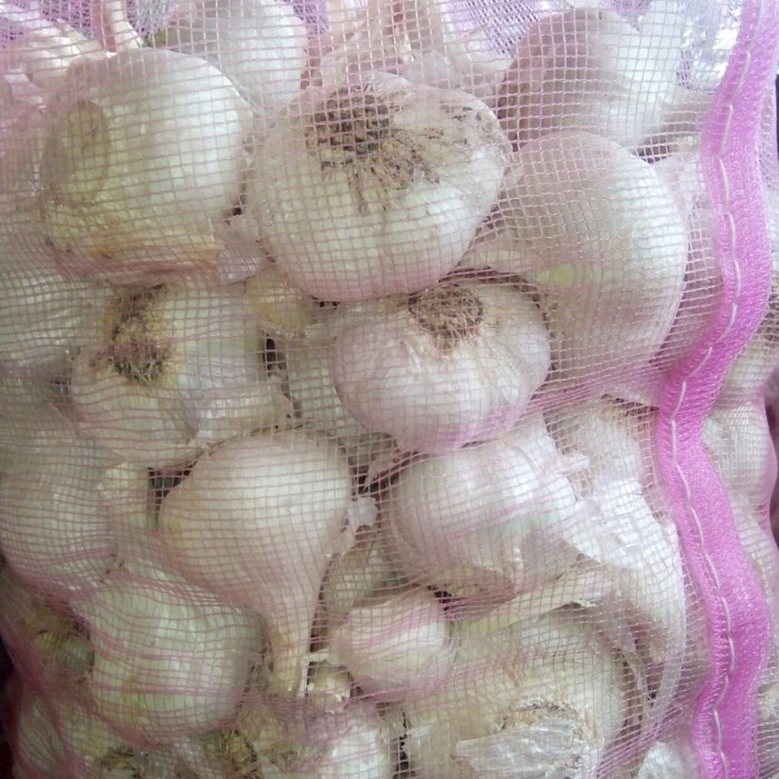 

HJK Bawang putih kating 500 gram (1/2 kg)