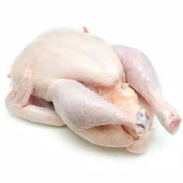 

HJK Daging Ayam Broiler 1 Ekor 500 - 600gr Karkas