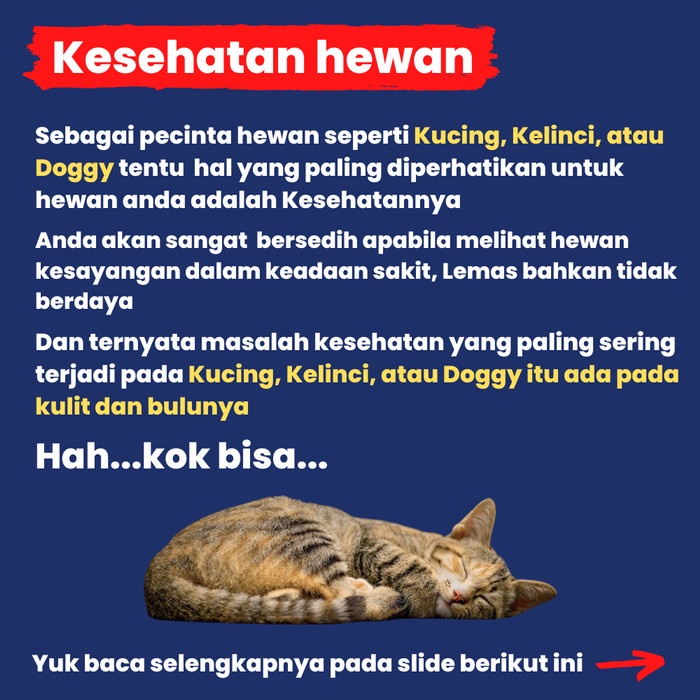 Obat Scabies Jamur Kutu Gatal Kudis Koreng Bulu Rontok Kucing Kelinci Harga Promo