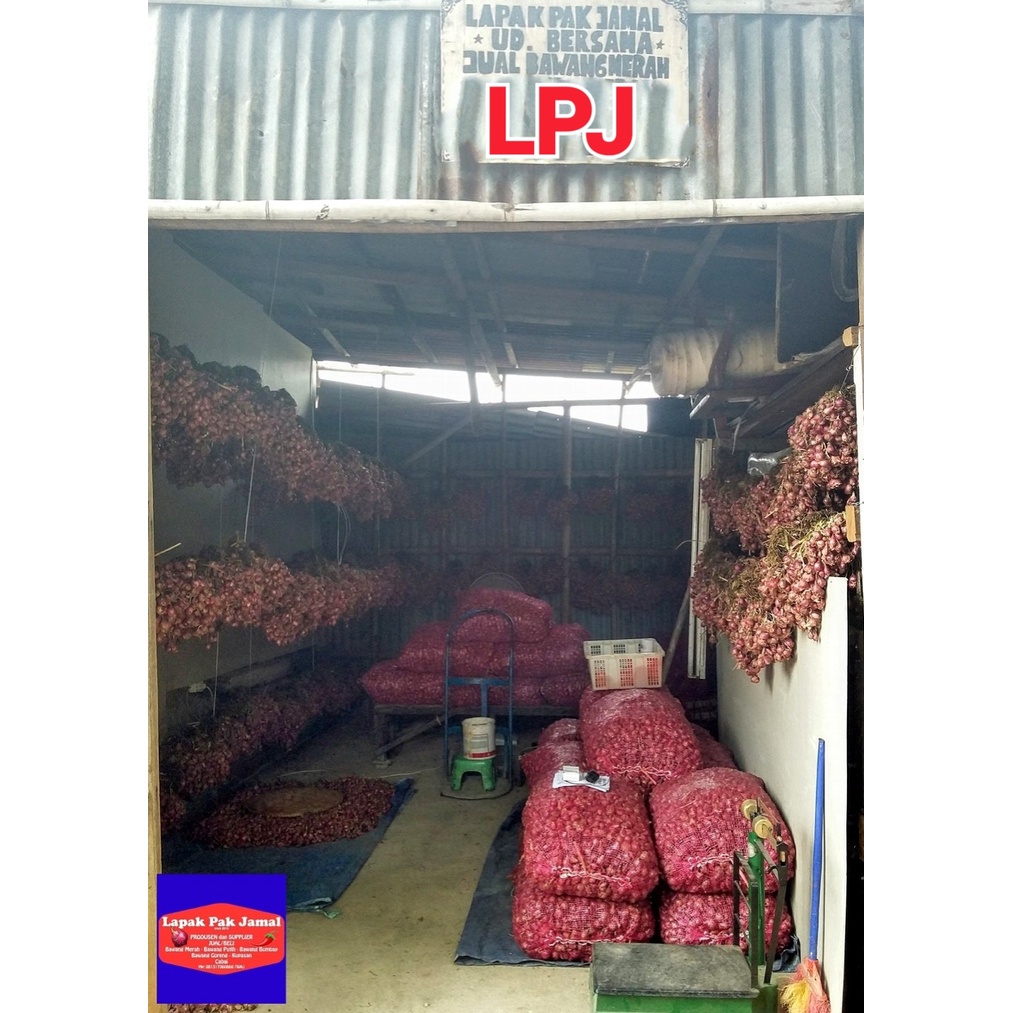 

Kentang DIENG KUNING - 1 Kg - LPJ