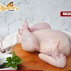 

Ayam Utuh 0.8-0.9 Kg/Ekor