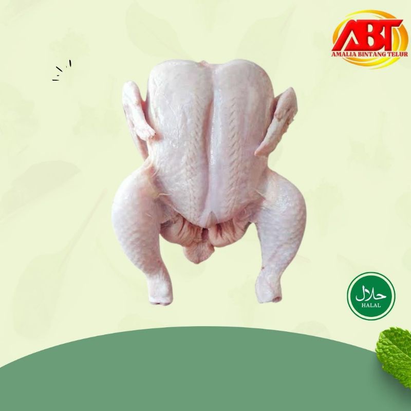 

ABT - Daging Ayam Karkas Ukuran 900-1000 gram per ekor