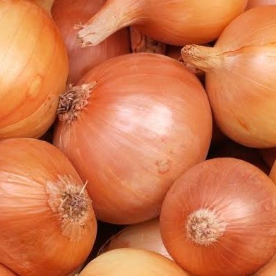 

Bawang Bombay / Ukuran Besar