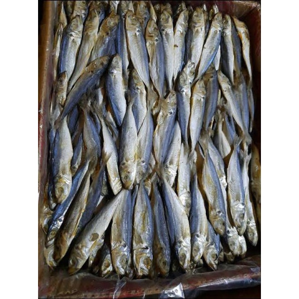 

AQS Ikan asin peda layang Fresh Bandung