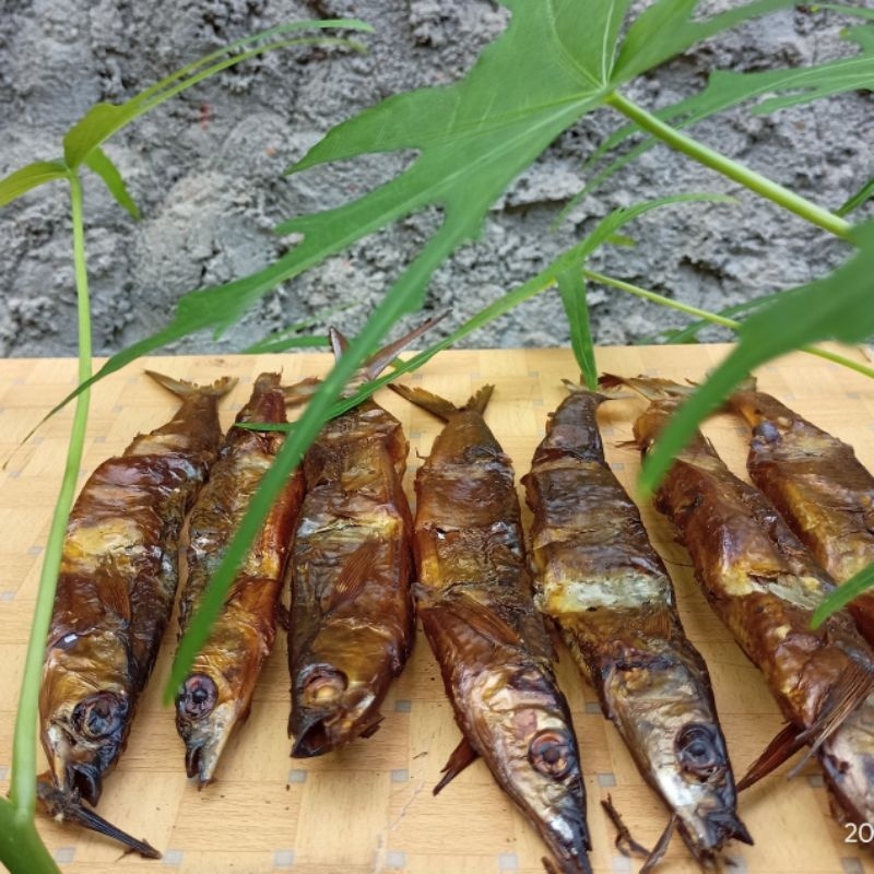 

Ikan Roa asap Utuh 1 gepe isi 20 ekor ikan Roa / Roa / Ikan Roa