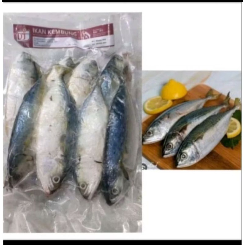 

Ikan Kembung Frozen 1kg