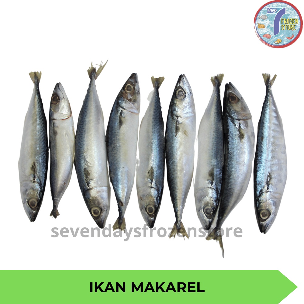 

Ikan Makarel Salem Sarden Beku Frozen 1 kg