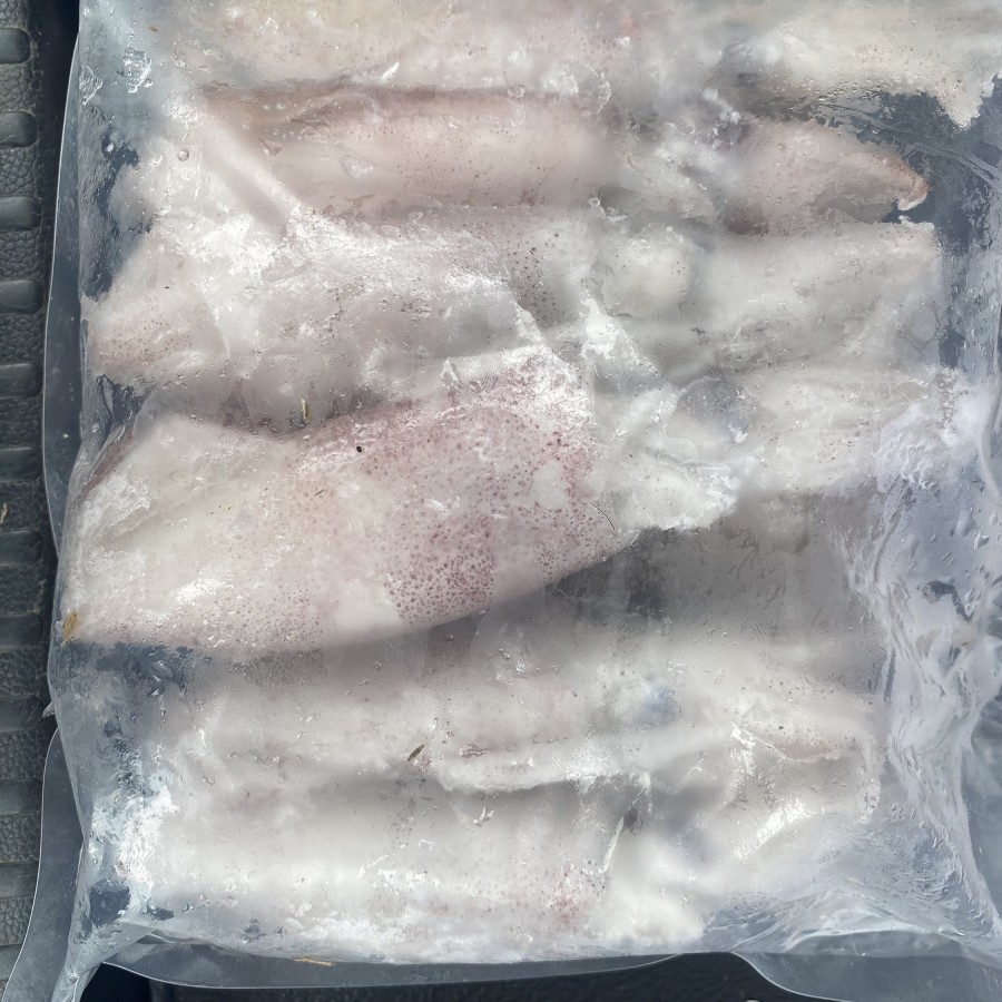 

Cumi Utuh Beku Iqf / Cumi Frozen Utuh / Cumi Size 8 - 10 / 1 KG