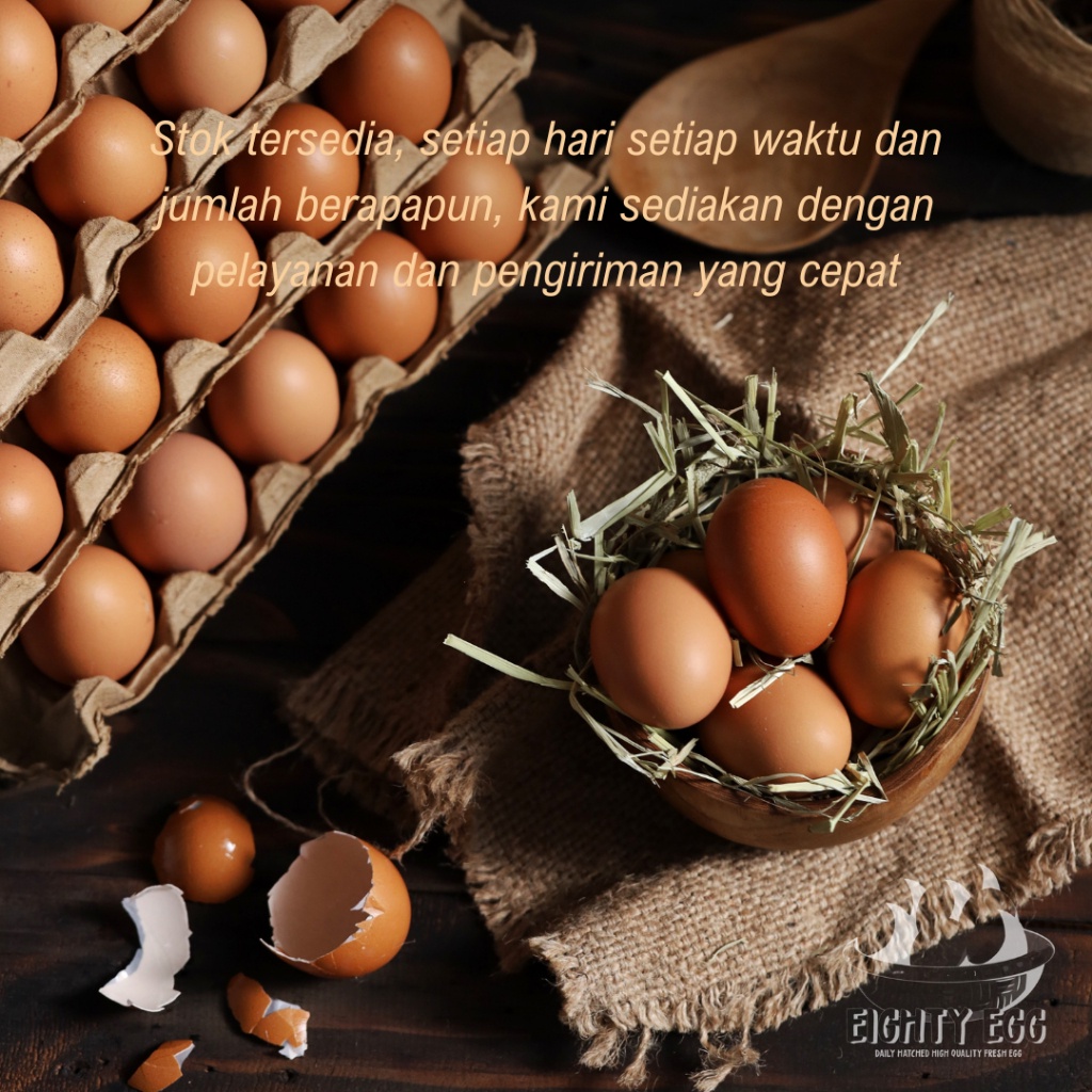 

Telur Ayam Negeri PREMIUM - 10 pcs GRADE A Fresh Bersih Kualitas Terbaik