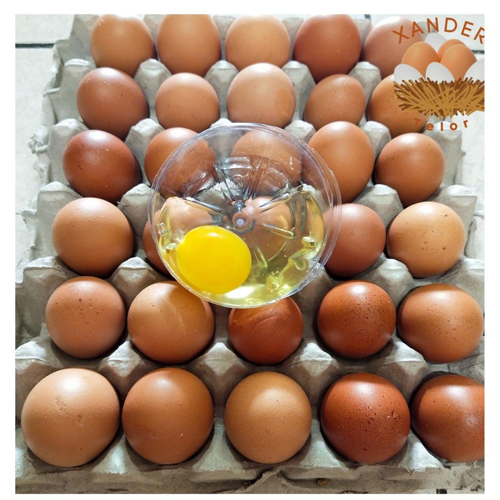 

telur ayam negeri per KG