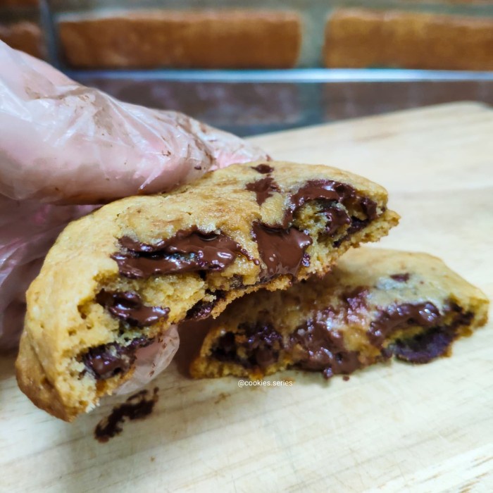 

Soft Chocochip cookies Melted Chewy Lumer Kue Kering Coklat Enak