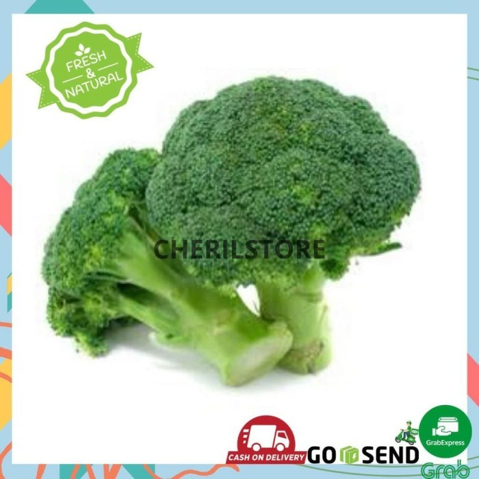

(Good) BROKOLI HIJAU 500GR BROCCOLI SAYUR SAYURAN SEGAR