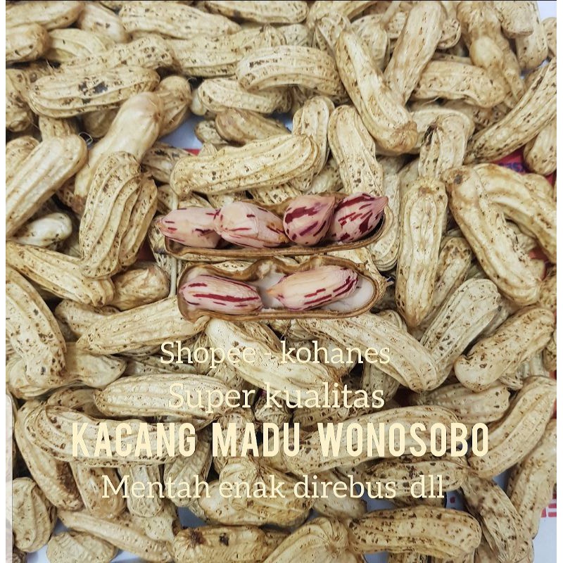 

KACANG TANAH MADU MANIS FRESH BERSIH ( 500 GR )HRP CHAT DAHULU
