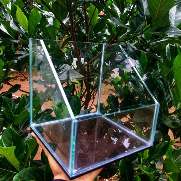 Terlaris Aquarium Paludarium Aquarium Tanaman Tank Paludarium Mini
