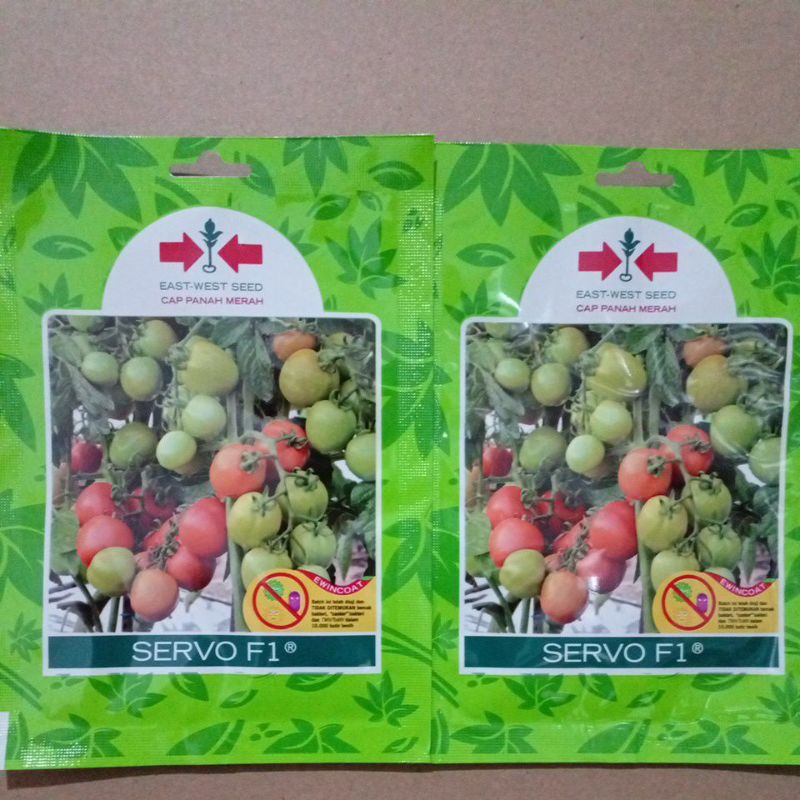 Baru 150 Butir Benih Tomat Servo F1 Exp 2026