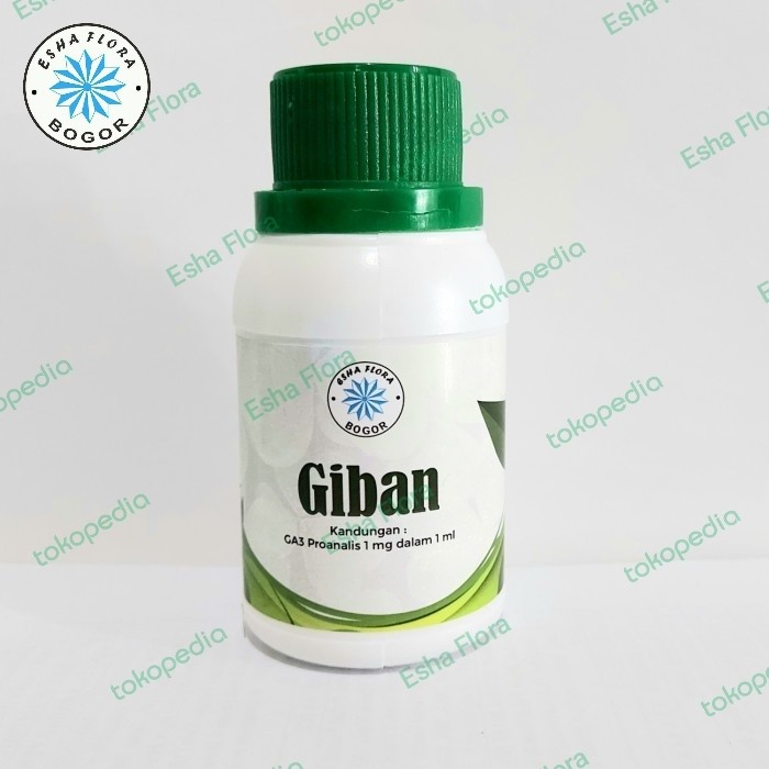 Hormon Giban Giberelin GA3 Kultur Jaringan Esha Flora Murni Pro Analis