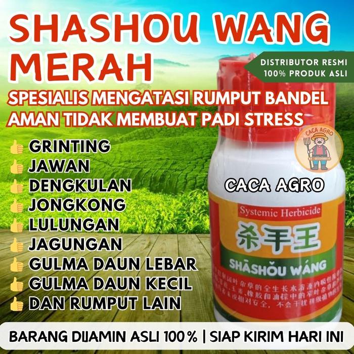 SHASHOUWANG MERAH HERBISIDA RACUN RUMPUT BANDEL PALING AMPUH BASMI GRINTING, JAWAN DAN RUMPUT