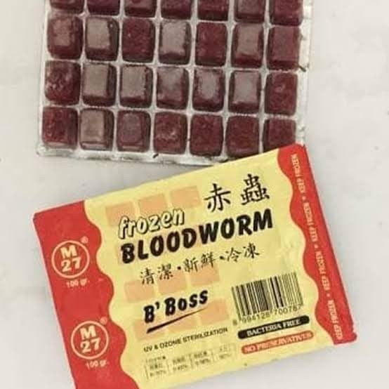 JTTOP" CACING BEKU/FROZEN BLOODWORM BIG BOSS 100GR/MAKANAN IKAN