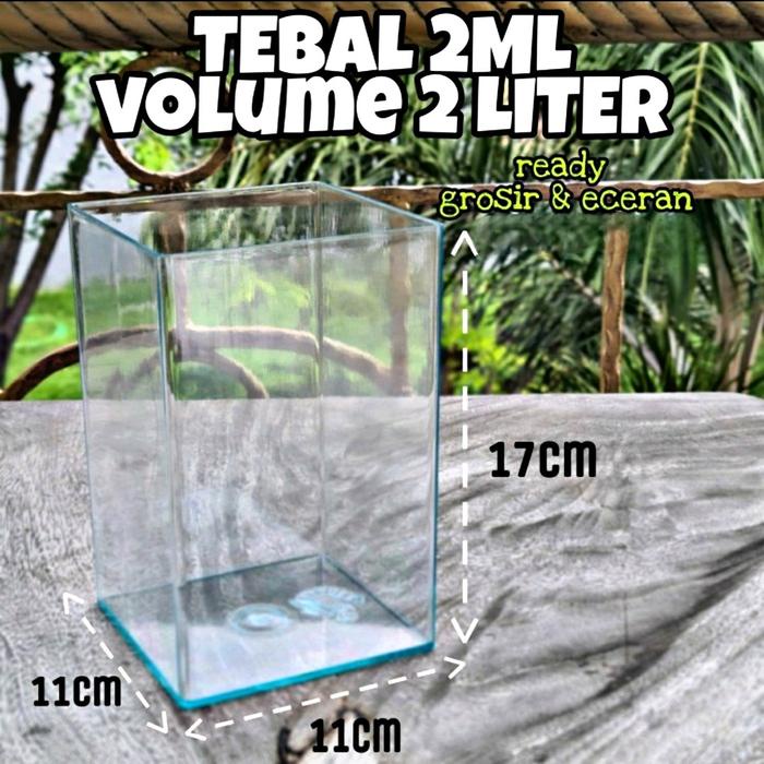 JTTOP" SOLITER IKAN CUPANG 2L - JURAGAN TOPLES PERSEGI PANJANG RANDOM