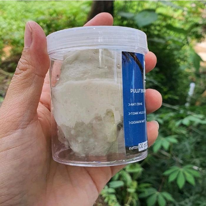 Pulut burung super lengket putih bersih 100gram/1ons pulut DL original