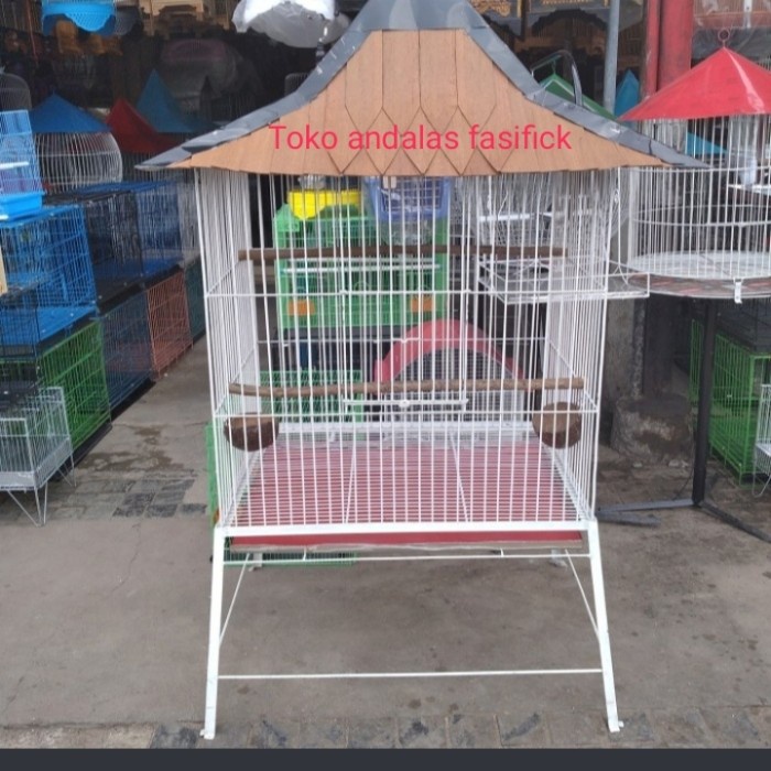 kandang Ayam ketawa. Ayam cemani. Ayam Bekisar Ayam pelung atap sirap